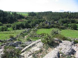 Mont Loz�re